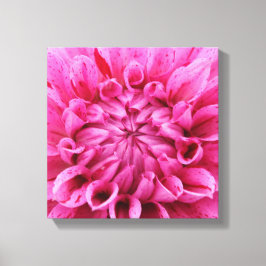 canvas x 12 pol de 12 pol - Flor rosa