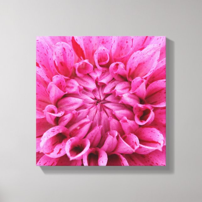 canvas x 12 pol de 12 pol - Flor rosa (Frente)