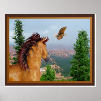 Canyon Horse - Poster de Águia