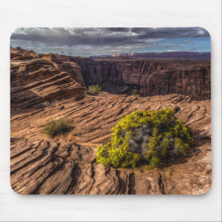 Canyon Resilience Mousepad