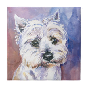 Cão