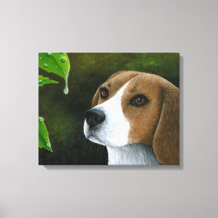Cão 116 Beagle Canvas estendida