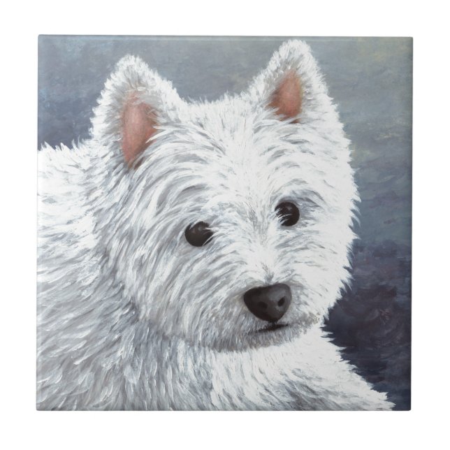 cão 137 westie branco (Frente)