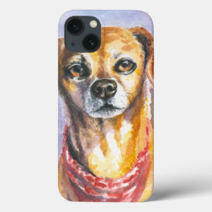 Cão 2