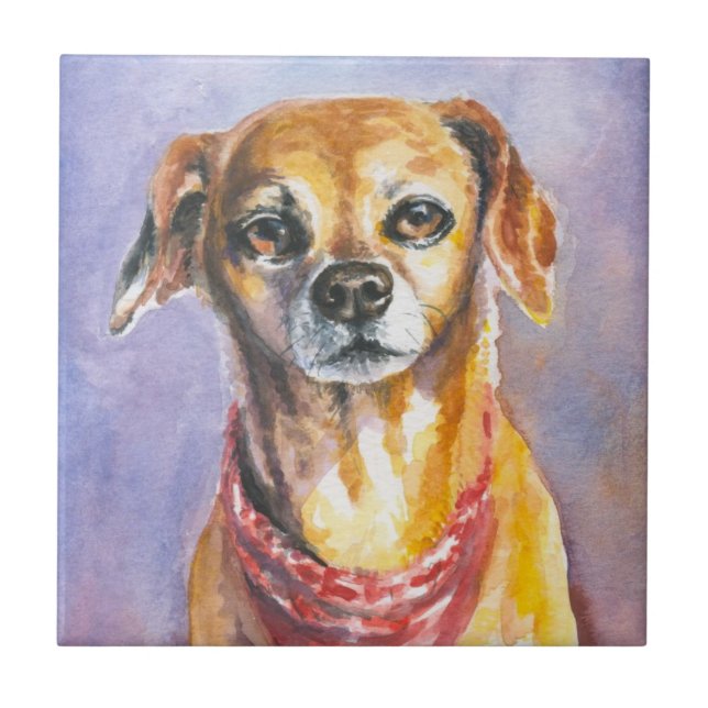 Cão 2 (Frente)
