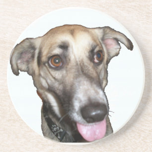 Cão 2 Porta copos