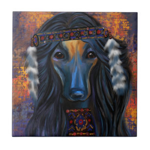 Cão Afegão