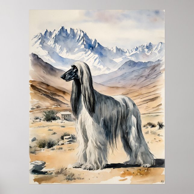 Cão Afegão - Impressão de Arte Canina (Frente)