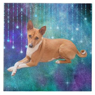 Cão Basenji 