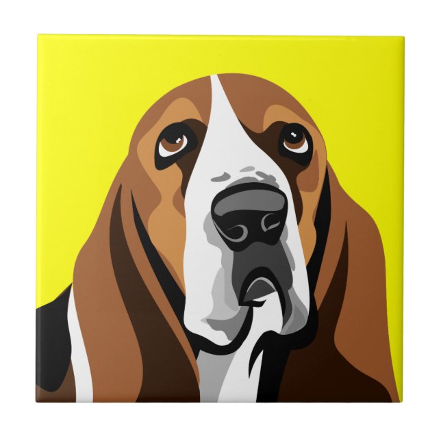 Cão Basset Hound (Frente)
