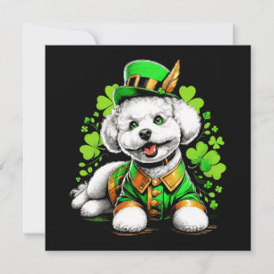 Cão Bichon Frise Dia de São Patrício