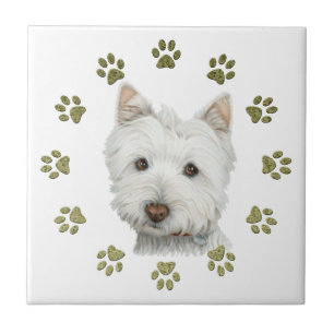 Cão bonito e patas de Terrier branco de montanhas