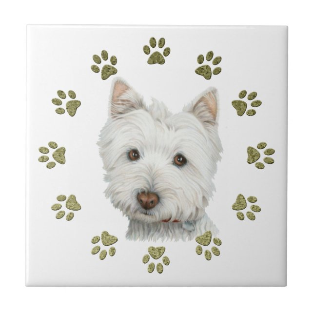 Cão bonito e patas de Terrier branco de montanhas (Frente)