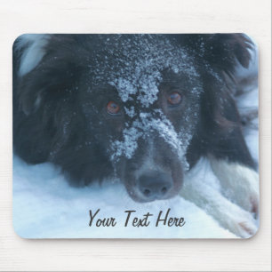 Cão bonito enfrentado nevado Mousepad de border