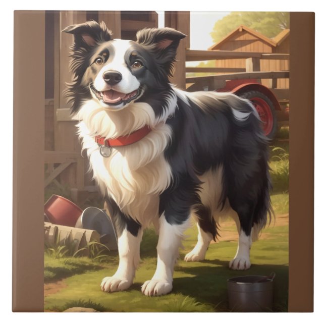 Cão Border Collie (Frente)
