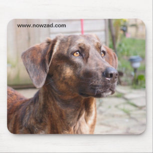 Cão Brin Mousepad do salvamento de Nowzad