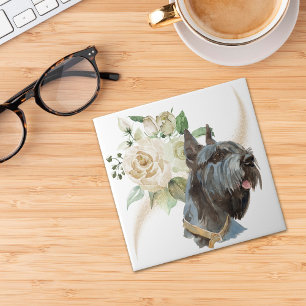 Cão-Buquê-Gigante Schnauzer