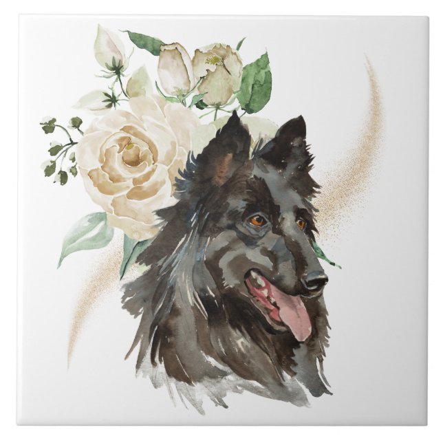 Cão-Buquê-Rosa Branco-Tervuren-belga (Frente)