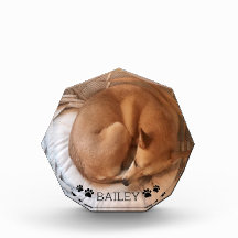 Cão Cachorro Pet Foto Nome Pawprints Gemstone