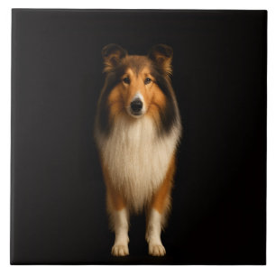 Cão Collie Leal Preto 4 Luxo Azulejo