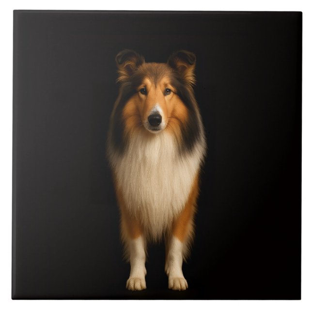 Cão Collie Leal Preto 4 Luxo Azulejo (Frente)