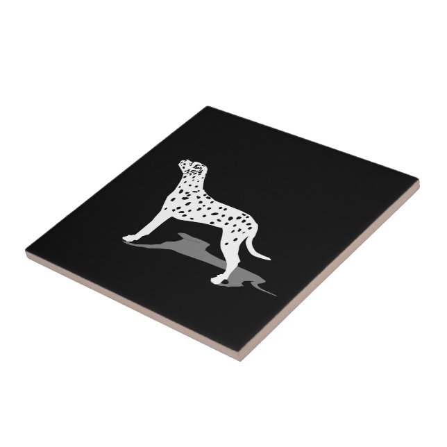 Cão Dalmático (Lateral)