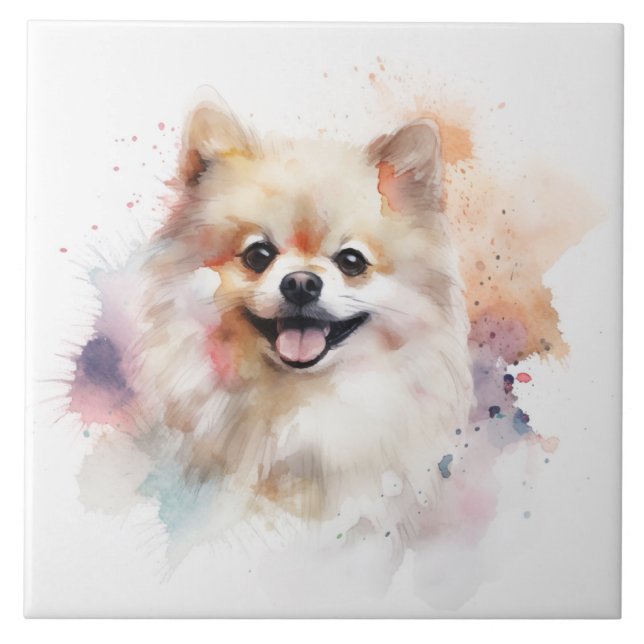 Cão de Aquarela da Pomerânia (Frente)