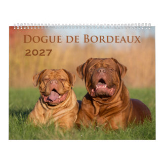 Cão de Bordeaux Grande Calendário de Parede