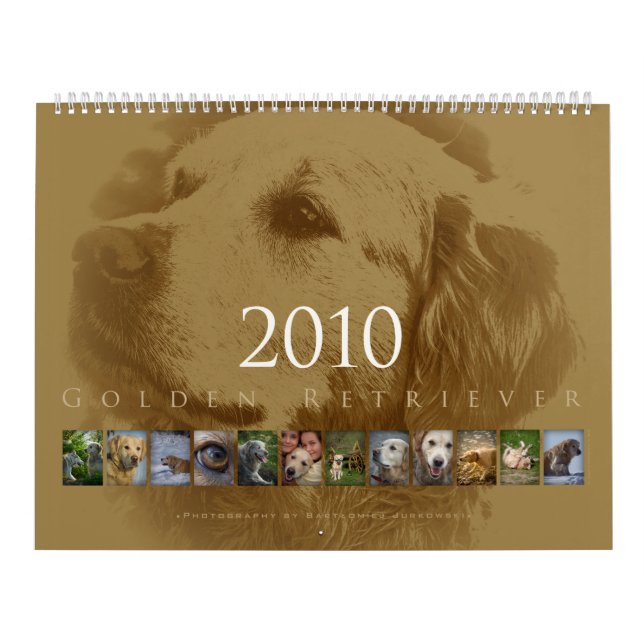 Cão de Fila - Calendário de Parede 2010 (Capa)