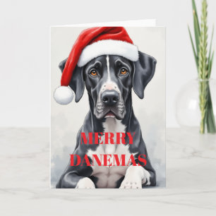 Cão de Fila de São Miguel CARTÃO DE NATAL