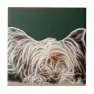 Cão de Fractalius Yorkie