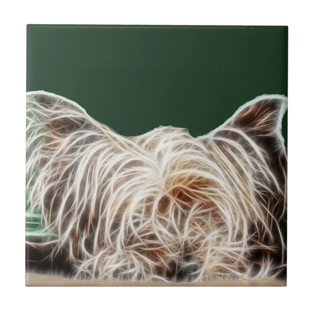 Cão de Fractalius Yorkie (Frente)