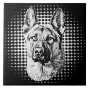 Cão de german shepherd