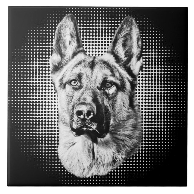 Cão de german shepherd (Frente)