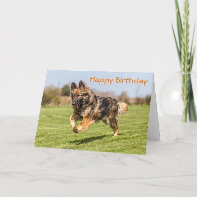 Cão de German shepherd de Cartão de Aniversário (Frente)