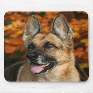Cão de german shepherd Mousepad