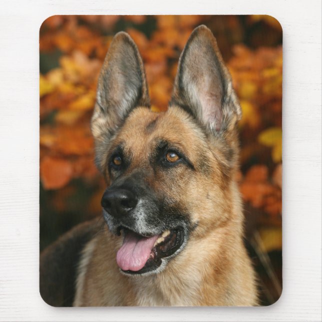 Cão de german shepherd Mousepad (Frente)