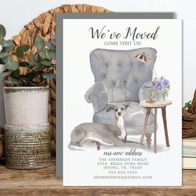 Cão de Greyhound Italiano | Anúncio de mudança (Criador carregado)