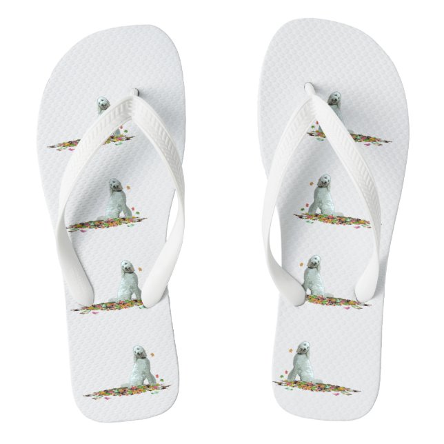 Cão De Labradoodle Em Chinelos De Folhas (Pé da cama)