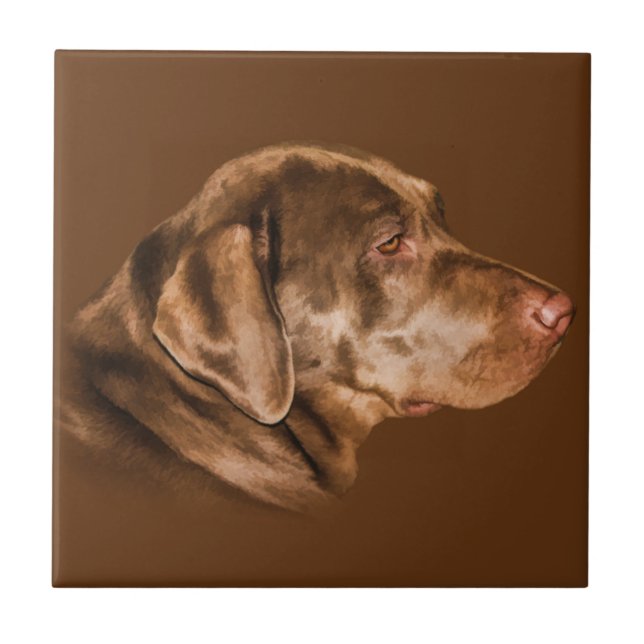 Cão de labrador retriever, azulejo, customizável (Frente)