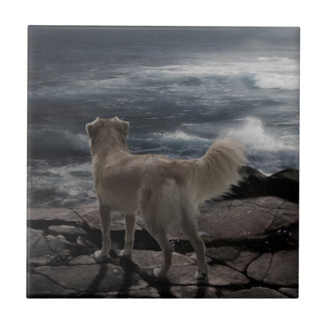 Cão de mar (Frente)
