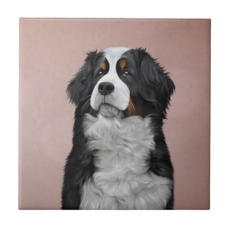Cão de Montanha Bernês