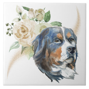 Cão-de-montanha Bernese, Buquê de Rosa Branco
