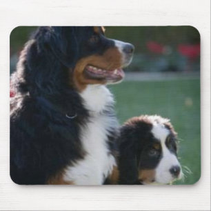 Cão de montanha de Bernese Mousepad