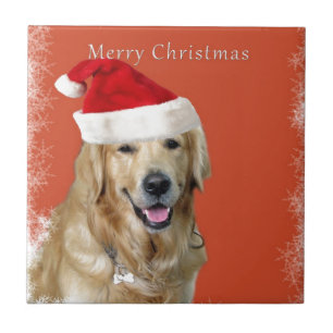 Cão de Natal