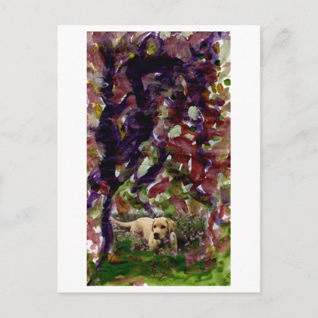 Cão de outro lugar cartão postal (Frente)