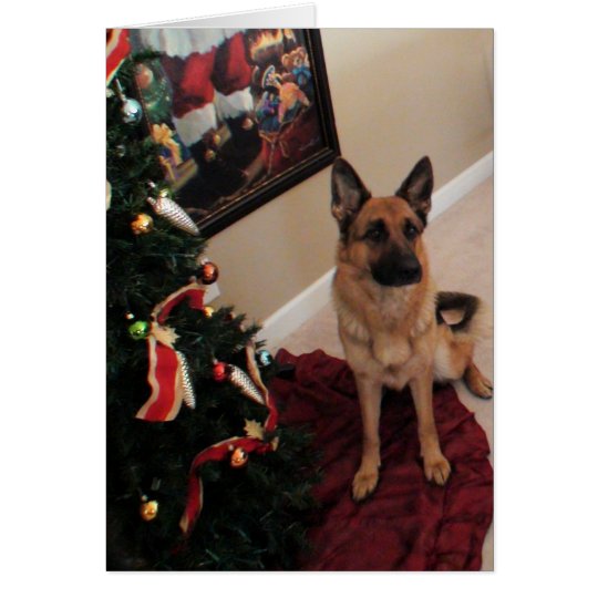 cão de pastor alemão de Natal Cartão