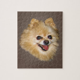 Cão de Pomeranian no quebra-cabeça de Brown