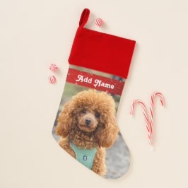 Cão de Poodle Marrom Personalizado