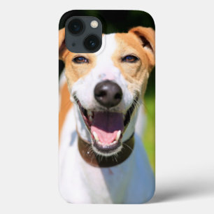 Cão de riso das imagens   de Getty